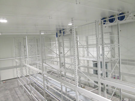 Balkenregal-2